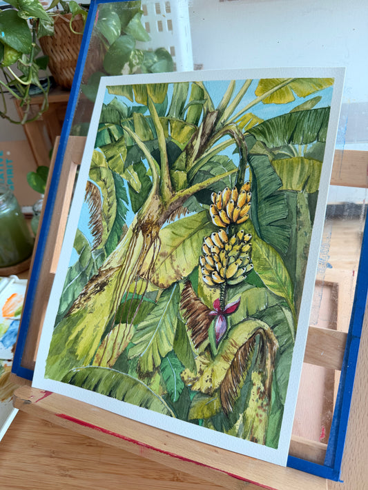 Nostalgia - Mum's Backyard - Tropical homes banana trees