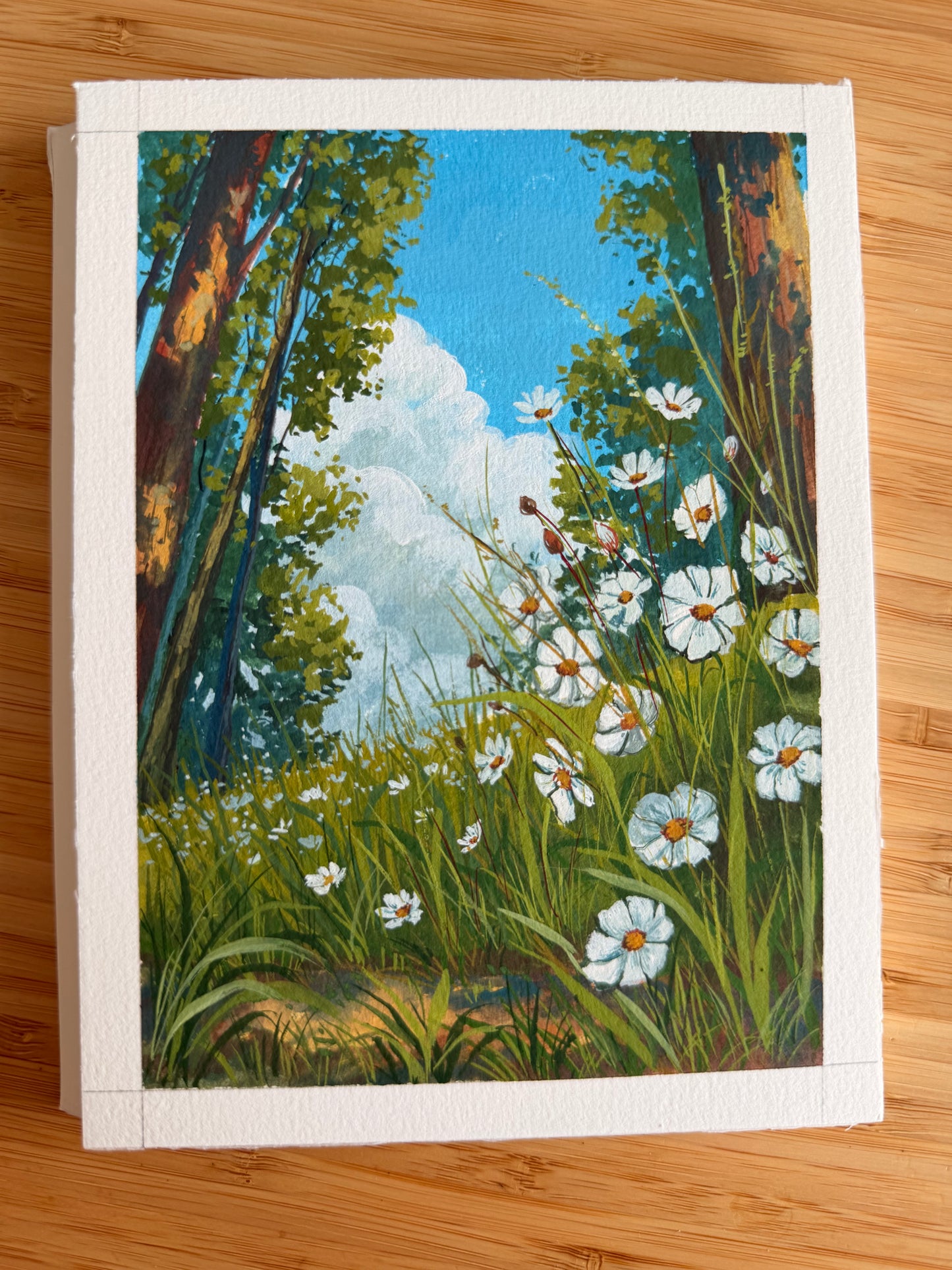 Mountain side wildflowers - summer breeze