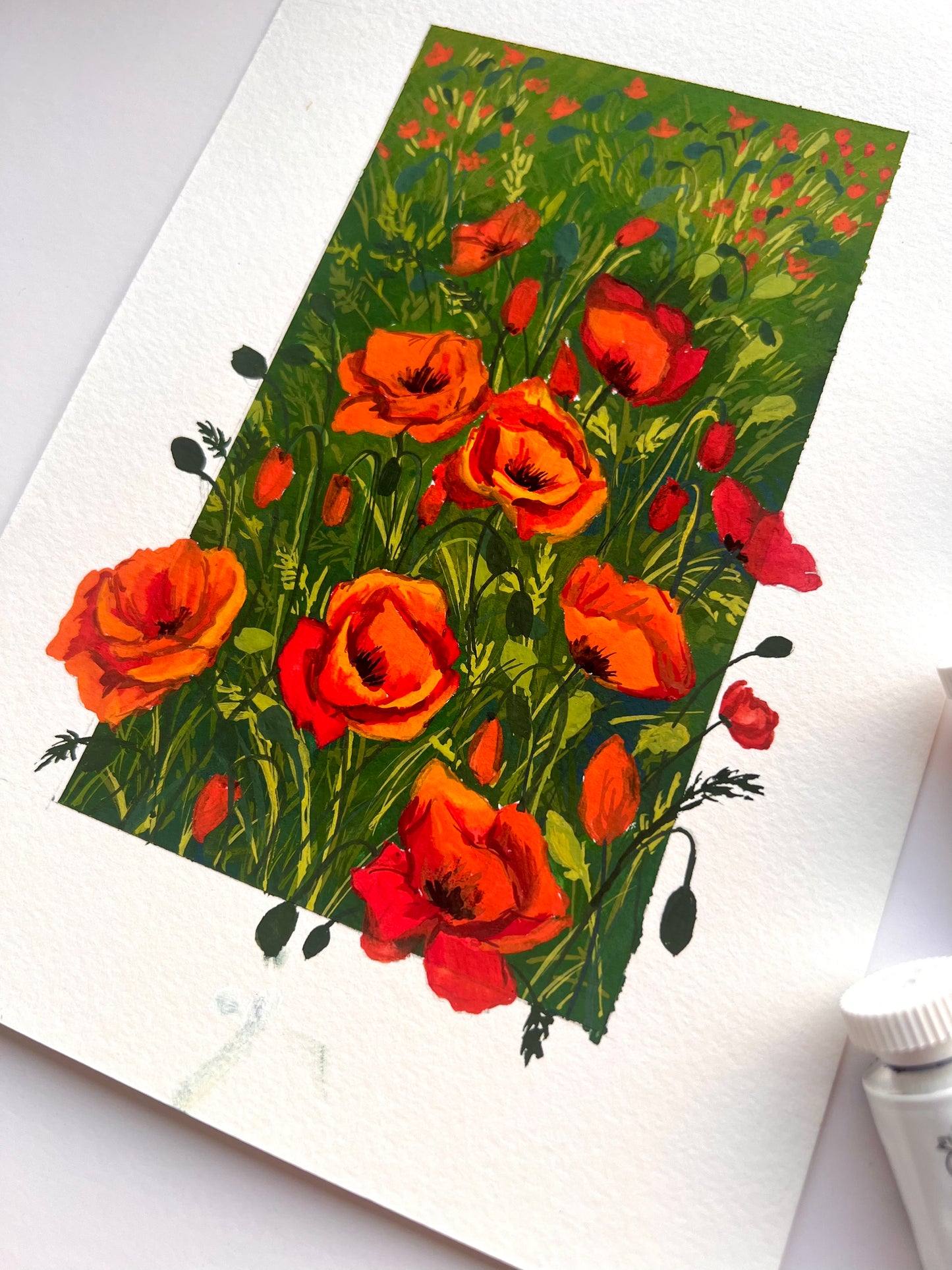 Poppy flowers 3D illusion painting