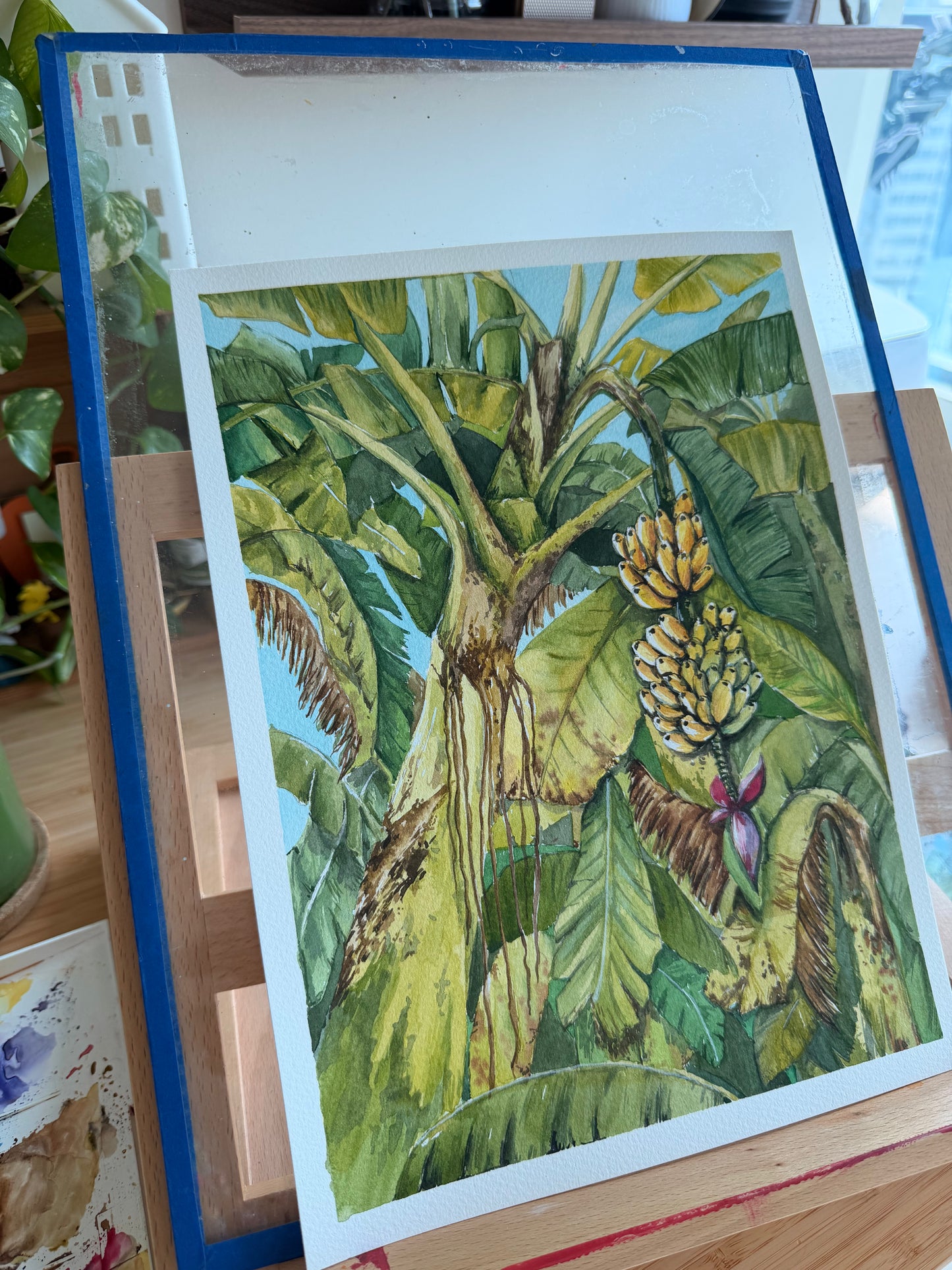 Nostalgia - Mum's Backyard - Tropical homes banana trees