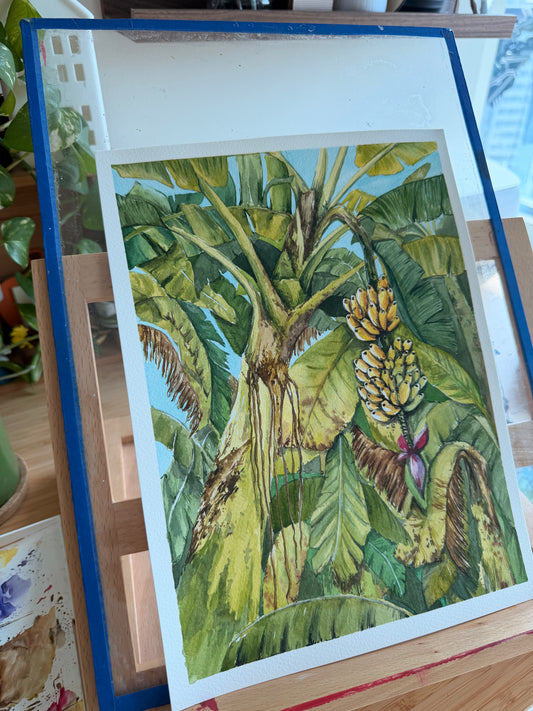 Nostalgia - Mum's Backyard - Tropical homes banana trees