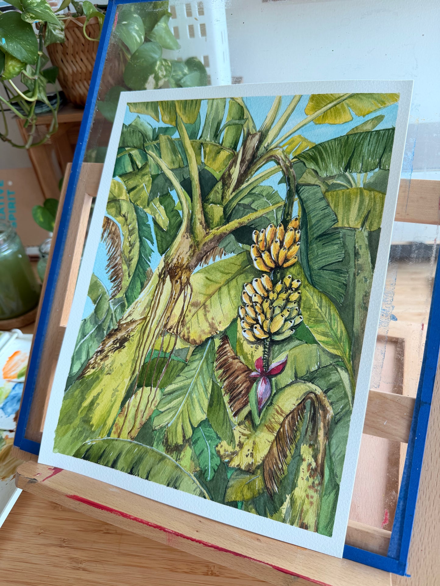 Nostalgia - Mum's Backyard - Tropical homes banana trees