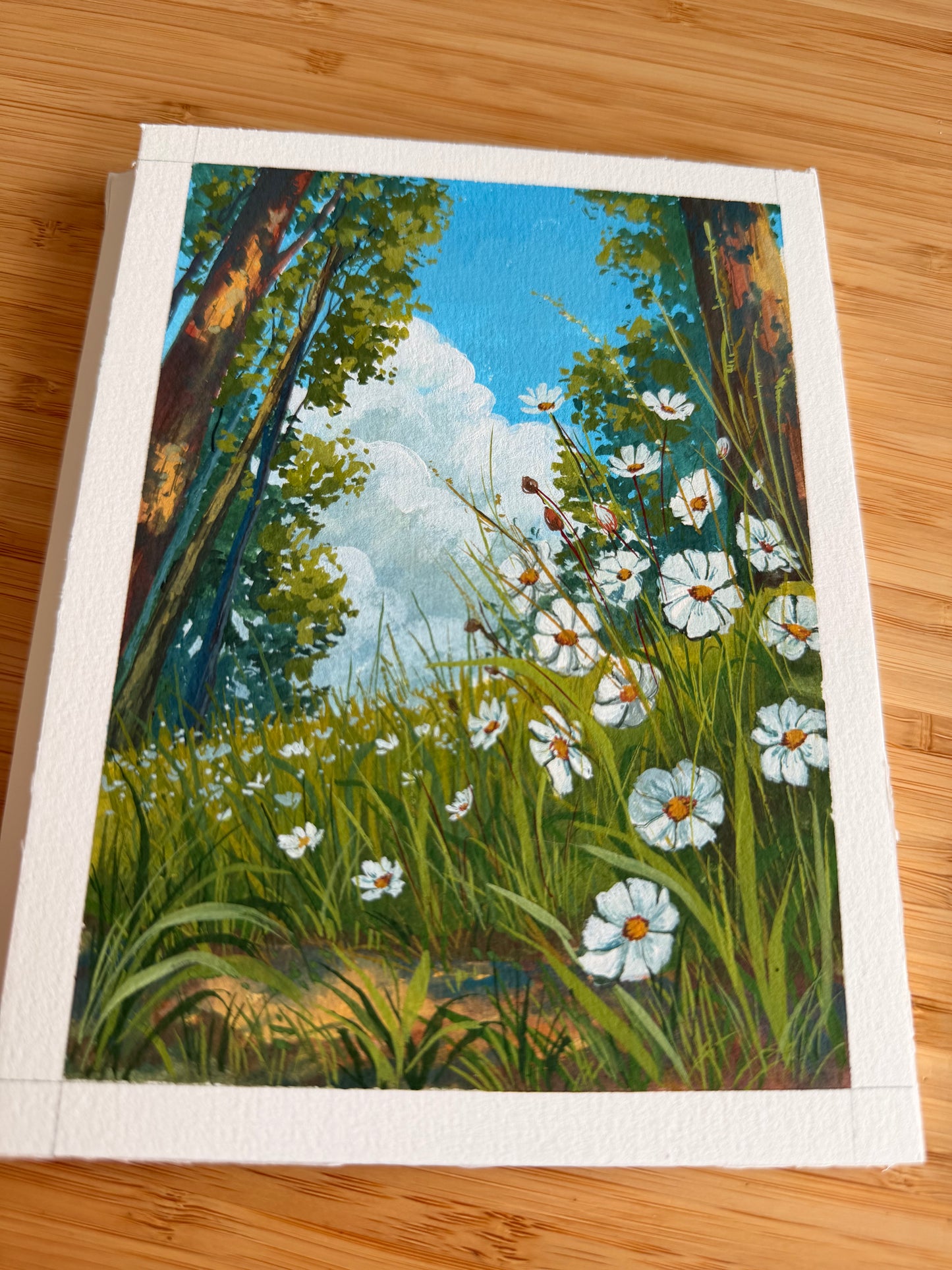 Mountain side wildflowers - summer breeze