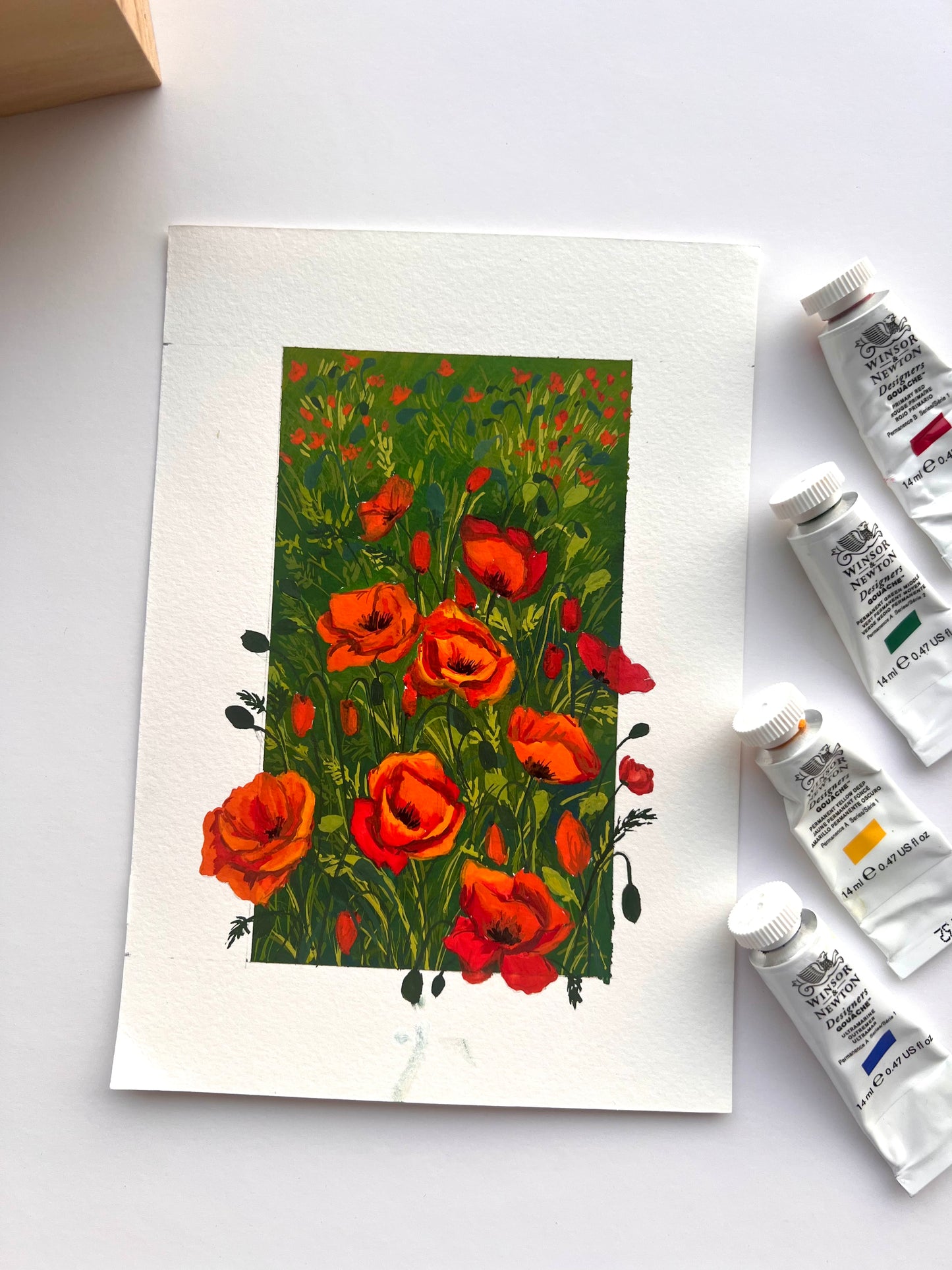 Poppy flowers 3D illusion painting