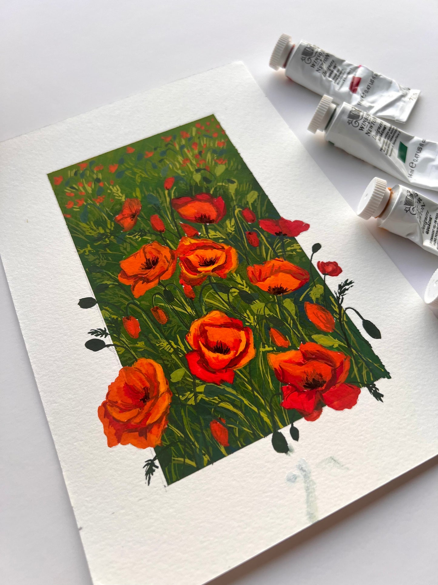Poppy flowers 3D illusion painting