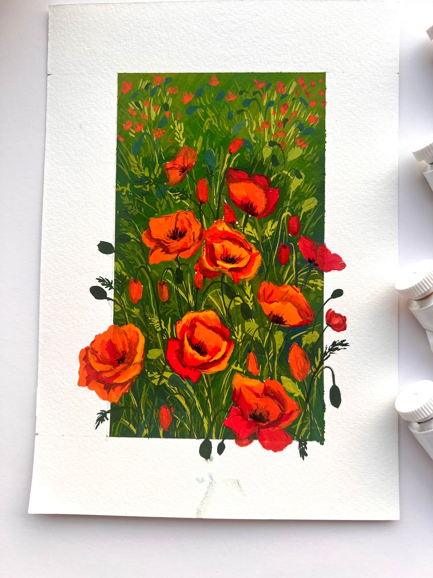 Poppy flowers 3D illusion painting